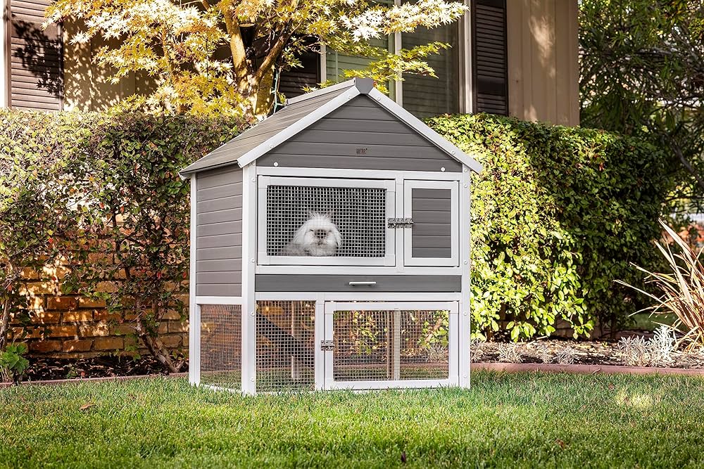 グラスハウス YEAR OF THE RABBIT 380g Amazon.com: New Age Pet ECOFLEX® Huntington Outdoor